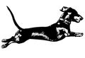 dachshund jumping, sketch silhouette