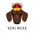 Dachshund king. Crown icon. You rule inscription. Royal symbol. Vector. Royalty Free Stock Photo