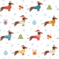 dachshund pattern. christmas seasonal template with long dog in winter knitted sweaters clothes for pets. Vector