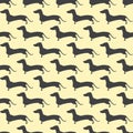 Dachshund pattern