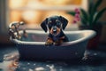 Dachshund puppy is in a freestanding bathtub. Dog\'s bathing. Generative AI Royalty Free Stock Photo