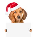 Dachshund puppy in red santa hat holding a white banner. isolated on white background Royalty Free Stock Photo