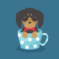 Dachshund puppy sitting in a cup