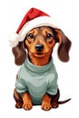 dachshund in santa hat isolated christmas artwork