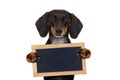 Dachshund sausage dog banner