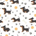 Dachshund seamless pattern. Adorable pets, funny dog long bodied breed, print for wrapping paper, textiles, wallpaper Royalty Free Stock Photo