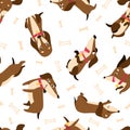 Dachshund seamless pattern with collars and medallions in various poses and bones in the background