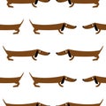 Dachshund. Seamless pattern. It is used for children s products, bedding, wrapping paper.