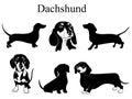 Dachshund set. Collection of pedigree dogs. Black white illustration of a dachshund dog. Vector drawing of a pet. Tattoo Royalty Free Stock Photo