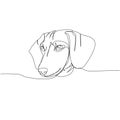 Dachshund short-haired, Teckel, dog breed, companion dog, hunting dog one line art. Continuous line drawing of friend