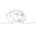 Dachshund short-haired, Teckel, dog breed, companion dog, hunting dog one line art. Continuous line drawing of friend