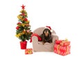 Dachshund sitting on chair with Christmas tree Royalty Free Stock Photo