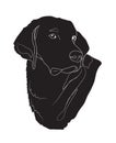 Dachshund stands, dog, lines, vector