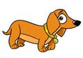 Dachshund surprise dog illustration cartoon Royalty Free Stock Photo