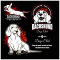 Dachshund - vector set for t-shirt, logo and template badges