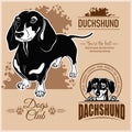 Dachshund - vector set for t-shirt, logo and template badges