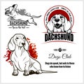 Dachshund - vector set for t-shirt, logo and template badges