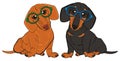 Dachshunds in glasses