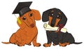 Dachshunds ready for education