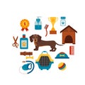 Dachsund dog infografic concept with dog care elements. Royalty Free Stock Photo