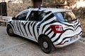 Dacia sandero renault suv off road car with paint covering zebra like animal