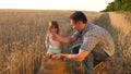 Dad is an agronomist and small child is playing with grain in a bag on wheat field. father farmer plays with little son