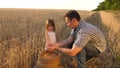 Dad is an agronomist and small child is playing with grain in a bag on wheat field. father farmer plays with little son