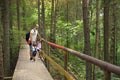 Dad and daughters are standing on old wooden footbridge in woods among trees. Royalty Free Stock Photo