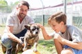 Dad and his son taking care of abandoned dog in animal shelter Royalty Free Stock Photo