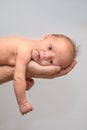 Dad is holding newborn baby in his big Royalty Free Stock Photo