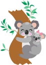 Dad koala and his baby hanging on bamboo branch