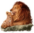 Dad lion and a little lion cub. Watercolor drawing Royalty Free Stock Photo