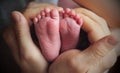 Dad`s hands gently hug the little feet of the baby