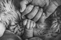 Dad`s strong hand touches the teeny tiny newborn baby`s hand