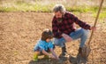 Dad with shovel and boy digging soil. Where food comes from. Teaching son growing plants. Planting plants. Works in