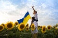 Dad with son, who sits on his shoulders, with large flag of Ukraine among a blooming field with sunflower Royalty Free Stock Photo