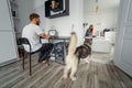 Dad works at laptop, mom and baby on the bed Royalty Free Stock Photo