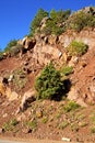 the dades valley in atlas africa ground tree nobody Royalty Free Stock Photo