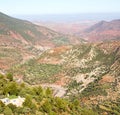 dades valley in atlas africa ground tree and nobody Royalty Free Stock Photo