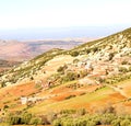 dades valley in atlas moroco africa ground tree and nobody Royalty Free Stock Photo