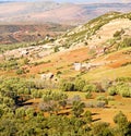 dades valley in atlas moroco africa ground tree and nobody Royalty Free Stock Photo