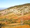 dades valley in atlas moroco africa ground tree and nobody Royalty Free Stock Photo