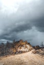 Dadia forest Restoration and Regrowth After Wildfire Evros Greece, mount Parnitha, Rodopi, Euboea Island, Evia, British