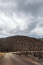 Dadia forest Restoration and Regrowth After Wildfire Evros Greece, mount Parnitha, Rodopi, Euboea Island, Evia, British