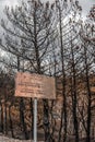 Dadia forest Restoration and Regrowth After Wildfire Evros Greece, mount Parnitha, Rodopi, Euboea Island, Evia, British
