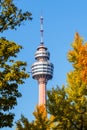 Daegu, South Korea - November 5, 2019: Daegu tower or 83 Tower is a symbol of Daegu city , this area is popular place to visit in Royalty Free Stock Photo