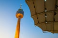 Daegu, South Korea - November 5, 2019: Daegu tower or 83 Tower is a symbol of Daegu city in twilight, this area is popular place Royalty Free Stock Photo