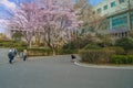 Daejeon, South Korea, April3, 2018: Woosong University students