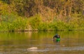 Man with green basket fishing in Kumgang river