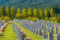 Family gathered at grave Royalty Free Stock Photo